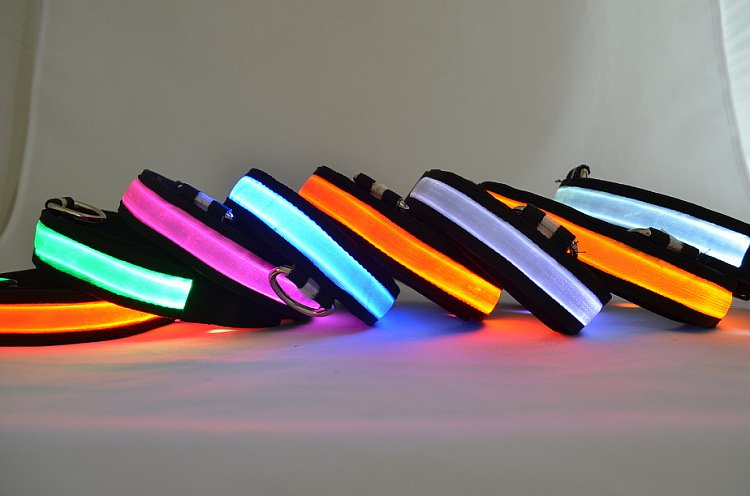 LED Light-Up Safety Dog Collar – Flashing Night Walking Collar, Sizes S–XL